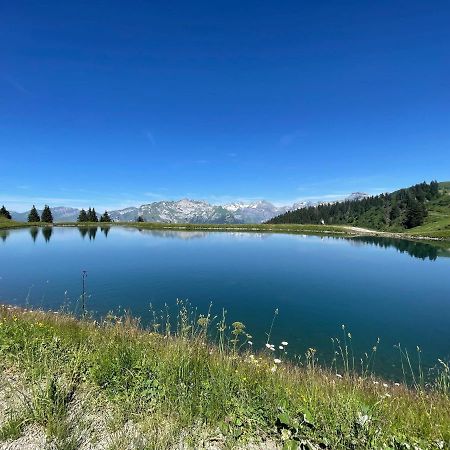 Samoens 1600 Studio Au Pied Des Pistes Dış mekan fotoğraf
