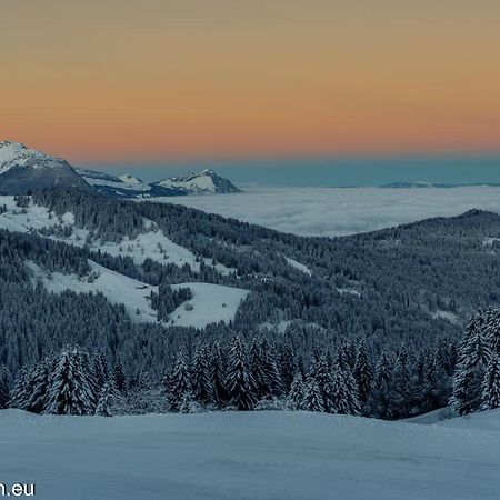 Samoens 1600 Studio Au Pied Des Pistes Dış mekan fotoğraf
