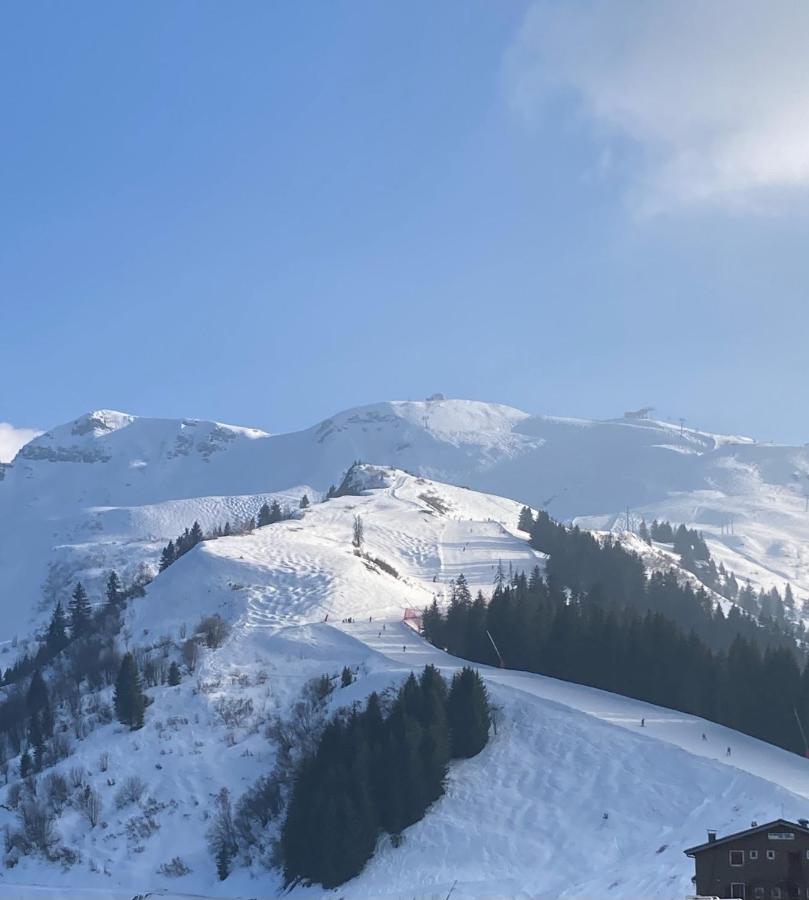 Samoens 1600 Studio Au Pied Des Pistes Dış mekan fotoğraf